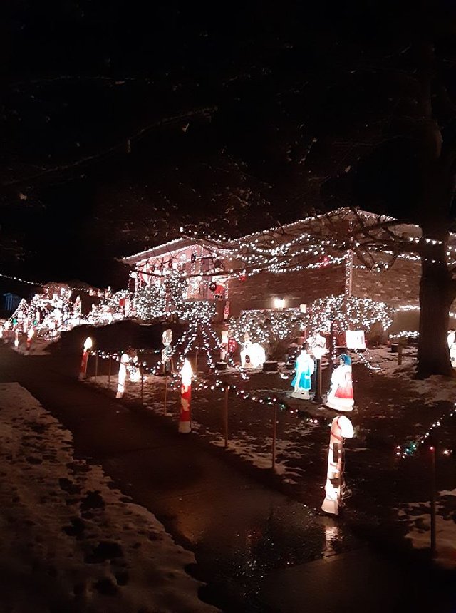 5590 Little Flower Ave — Christmas lights in Mt Airy, OH