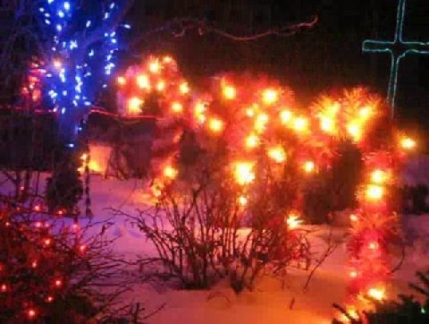Livonia Lights — Christmas lights in Livonia, MI