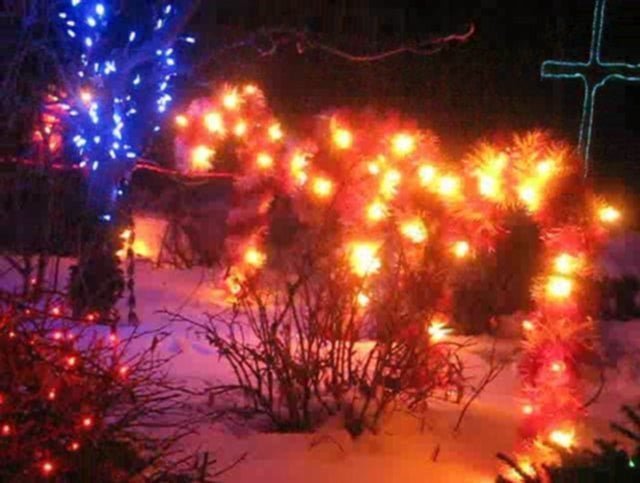 Livonia Lights — Christmas lights in Livonia, MI