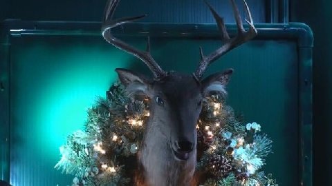 Lights To Music — Christmas lights in Albany, GA